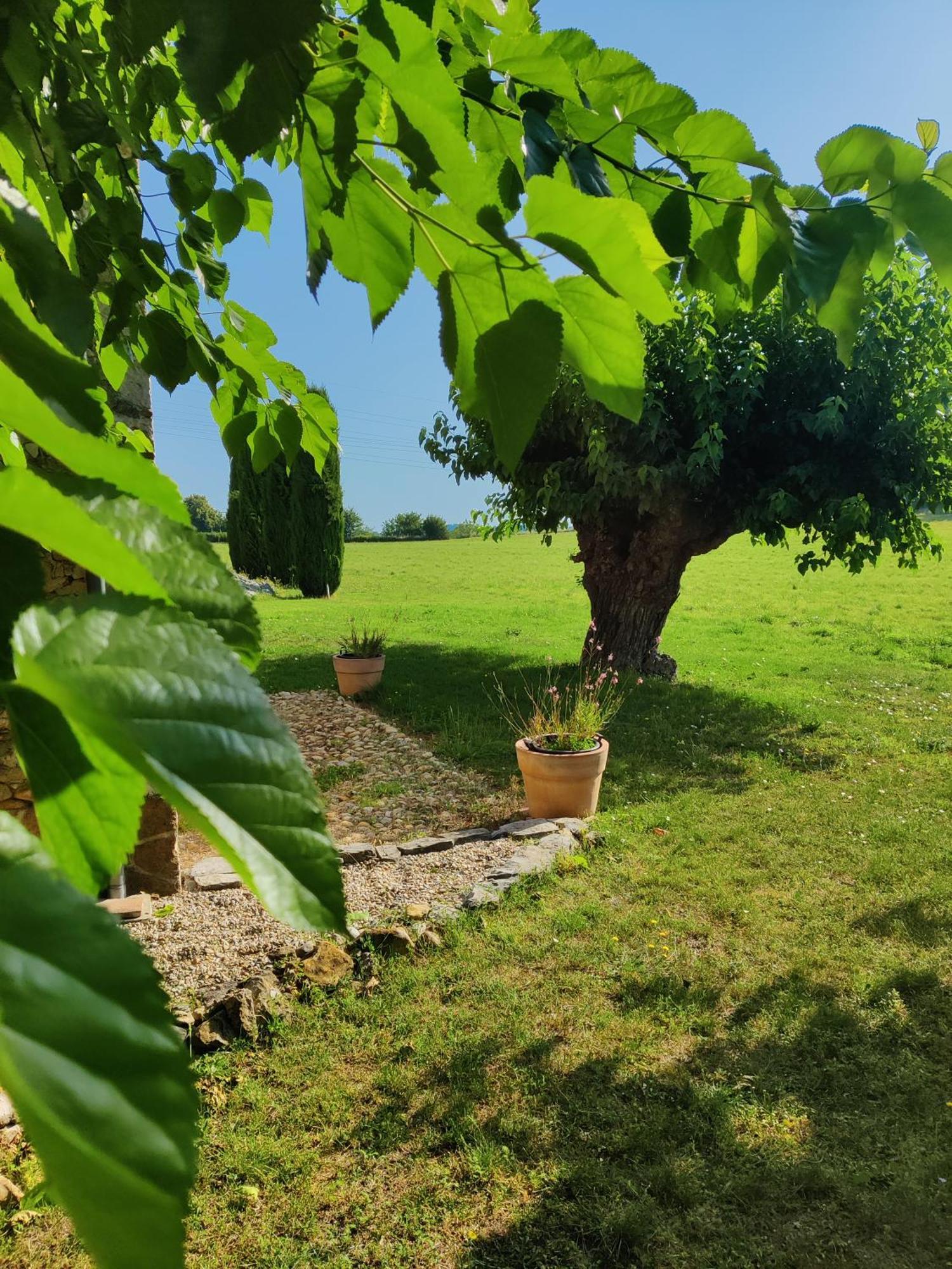 L'Etoffe, Charmante Chambre Dans Un Mas Cevenol Boisset-et-Gaujac Extérieur photo