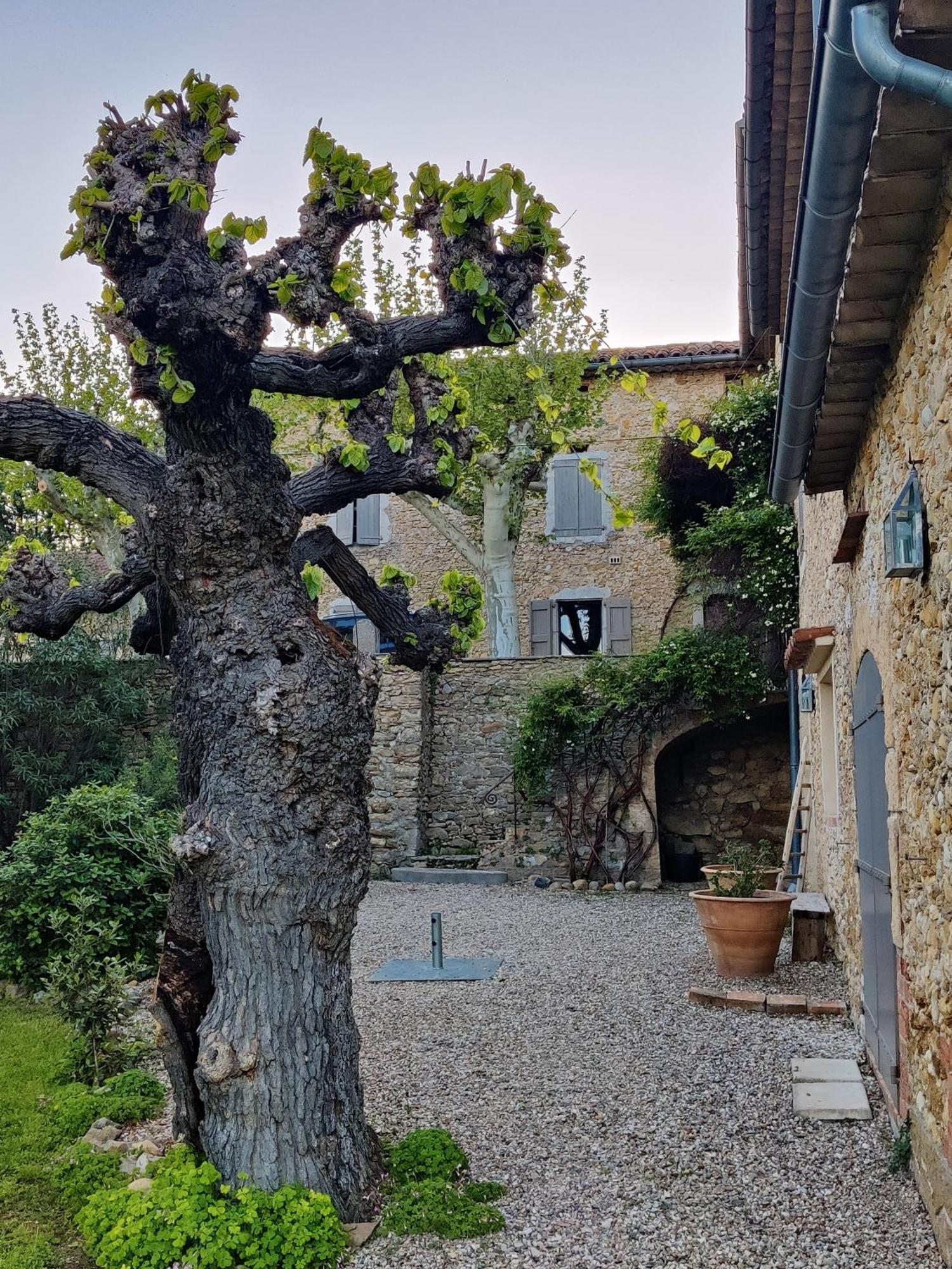 L'Etoffe, Charmante Chambre Dans Un Mas Cevenol Boisset-et-Gaujac Extérieur photo